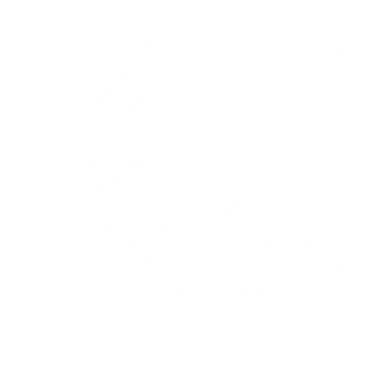 eine orangene Schwalbe vom Webdesigner